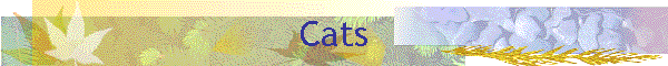 Cats