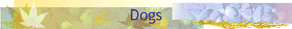 Dogs