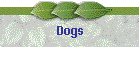 Dogs