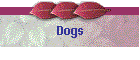 Dogs