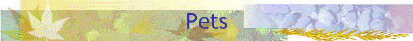 Pets