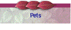 Pets