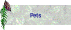 Pets